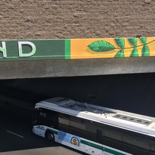 Ashland & Cherryland Community Identifiers