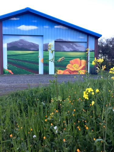 Sonoma County Landscape