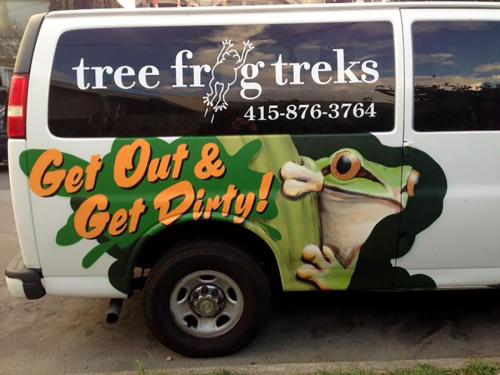 Tree Frog Treks